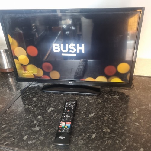 Bush inch with - bush, tv