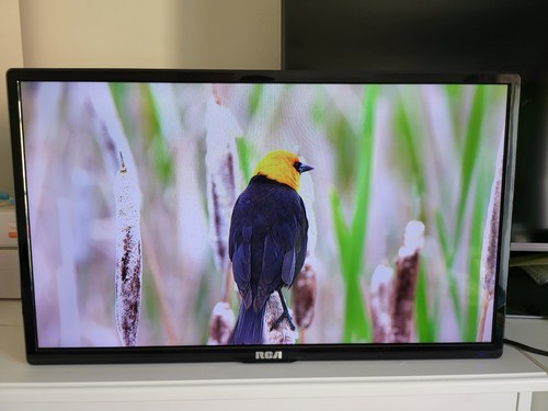 Rca rd24h1 inch hd - rd24h1-uk, led